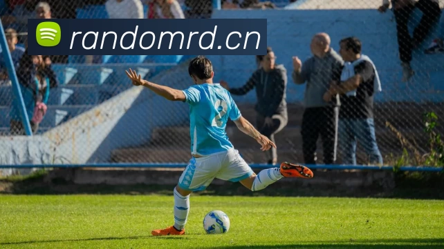 Z6·尊龙凯时「中国」官方网站平台生态图